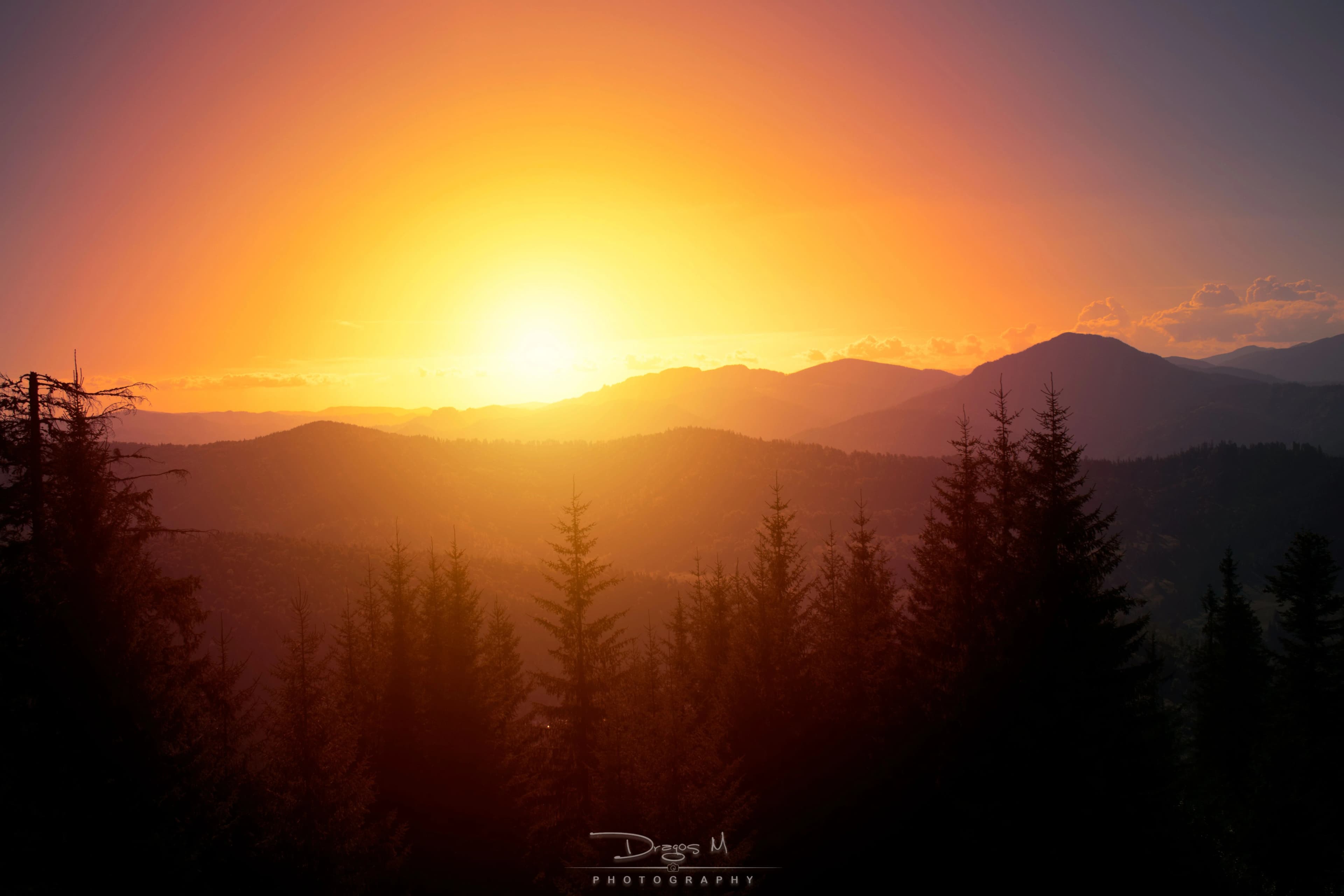 Portfolio Image 42