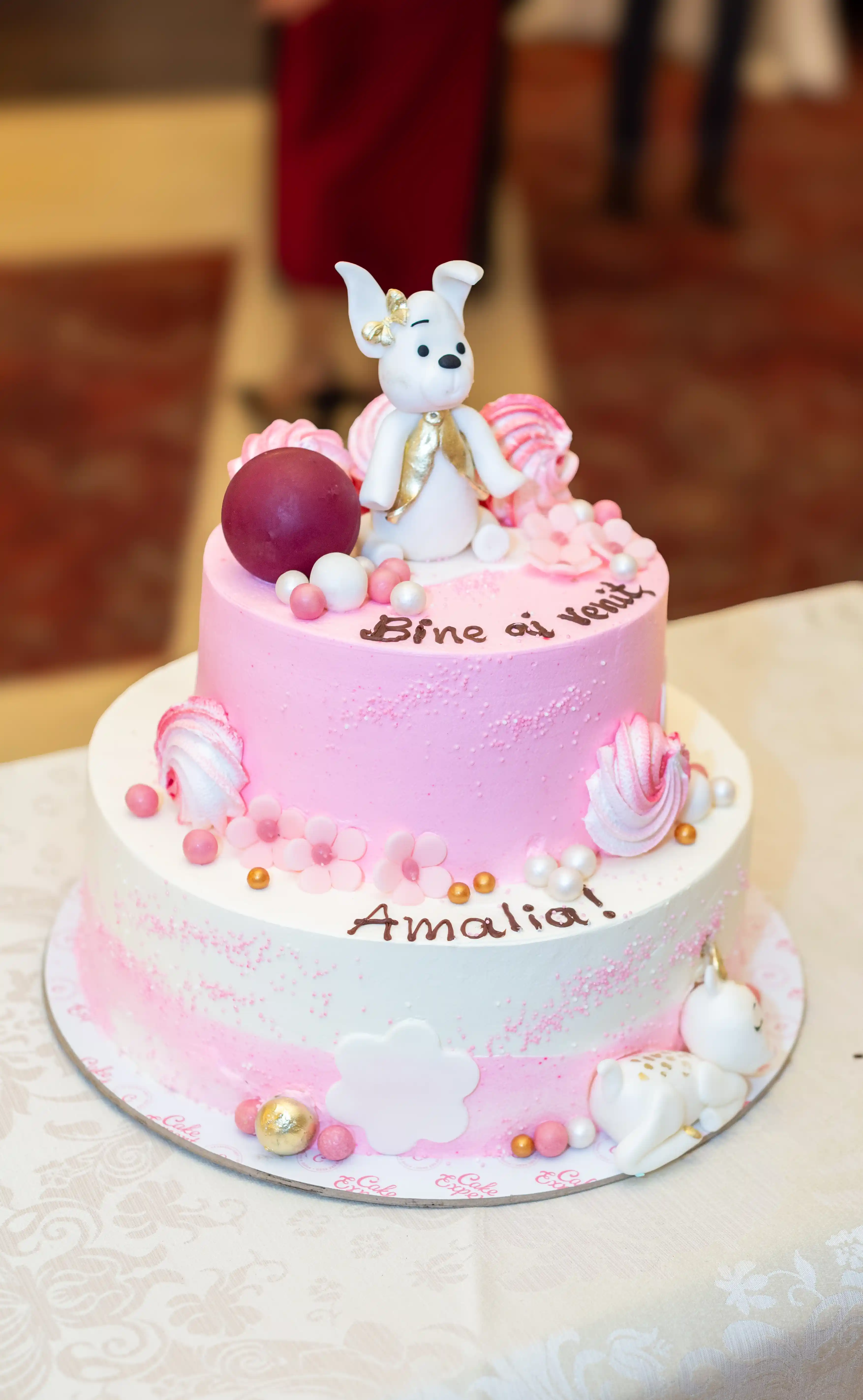 Portfolio Image 23
